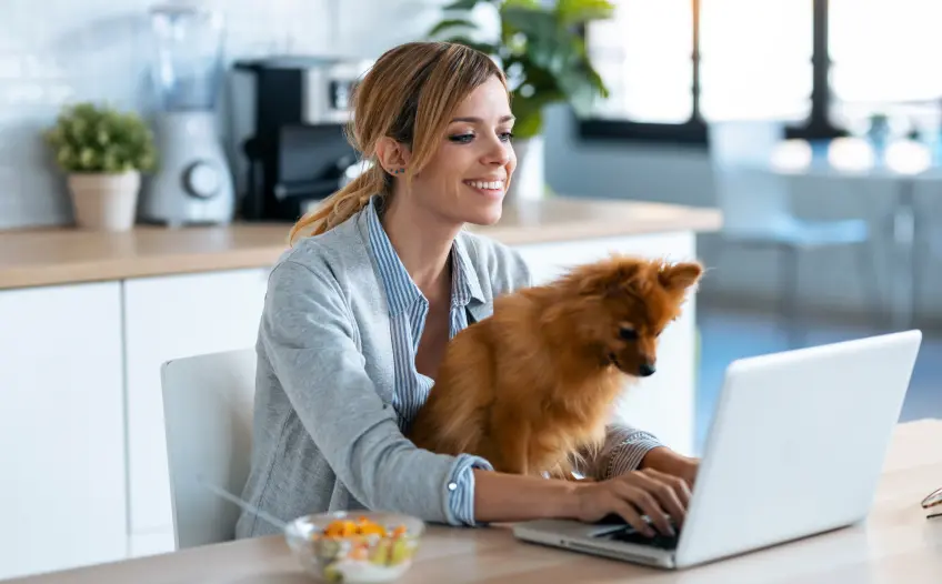 ازدهر كموظف مستقل